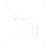 linkedin icon
